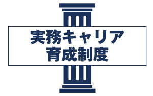 実務キャリア育成制度