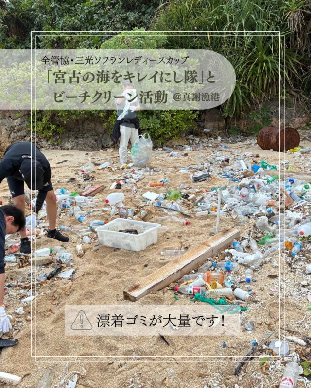 ＼宮古島の海をキレイに🐳✨／
22日、全管協・三光ソフランレディースカップ関係者で真謝漁港のビーチクリーンを行いました。

女子プロゴルファーの皆様も含め総勢75名で、燃えるゴミ124袋、ペットボトル65袋などなど漂流ゴミを大量回収🔥

美しい宮古島の海に、こんなにもゴミがあることにいつも驚きます😰

ご協力いただいた「宮古の海をキレイにし隊 @miyakonoumiwokireinishi.tai 」の皆様、ありがとうございました🙆

#宮古島 #ビーチクリーン #女子プロゴルファー