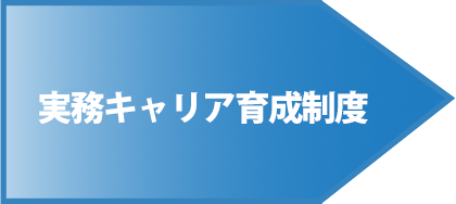 キャリアデベロップメント制度